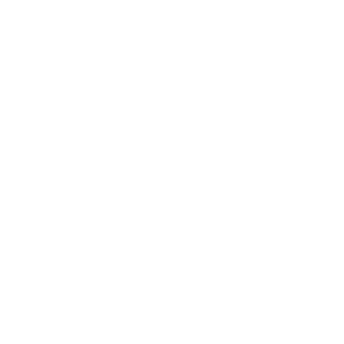 Logo Fischer Réunion logo_fischer_reunion.png