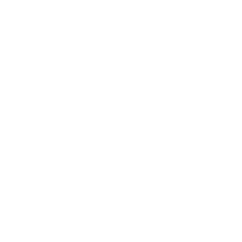 logo_fischer_reunion.png